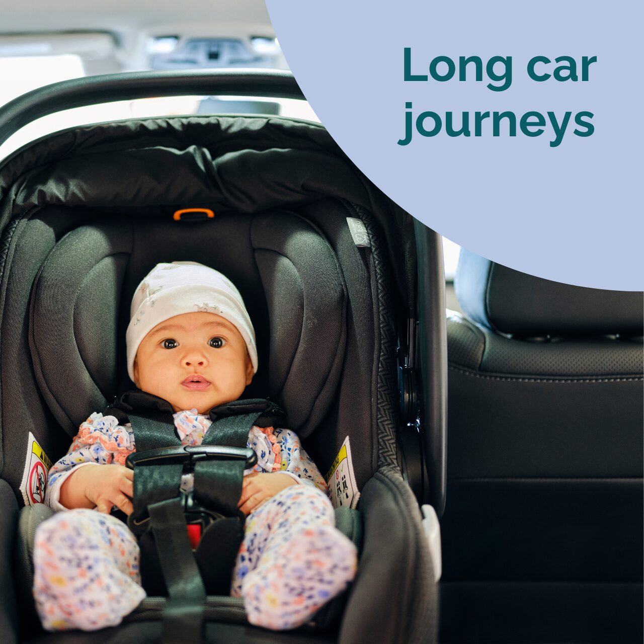 Family Travel: Mini Course