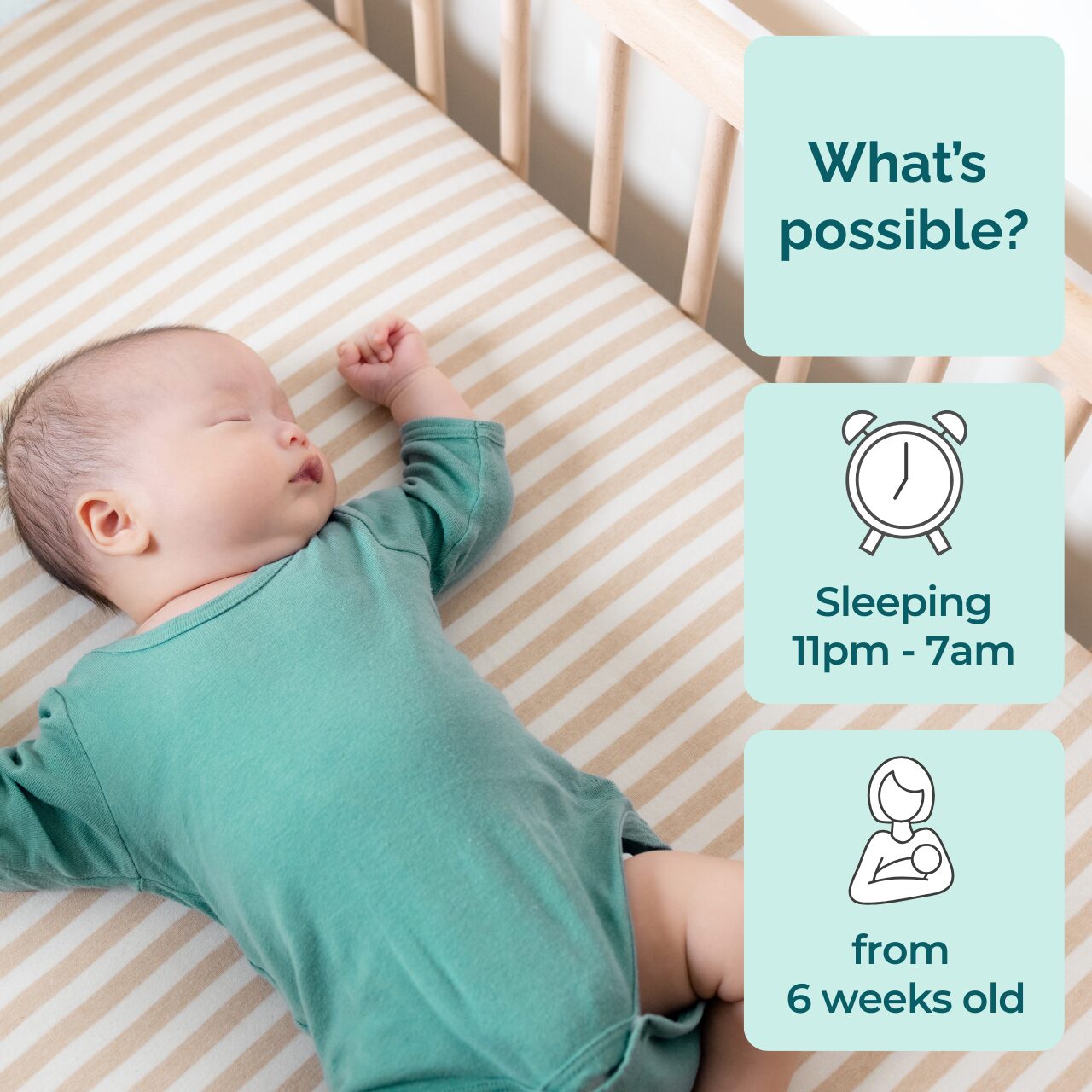 Little baby: Sleep program