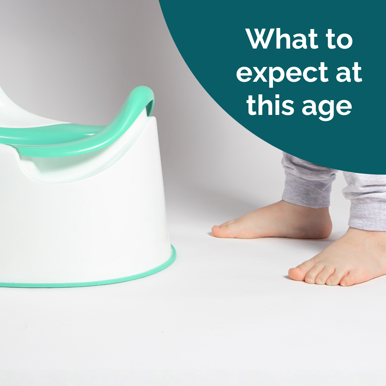 Potty Training: Mini Course