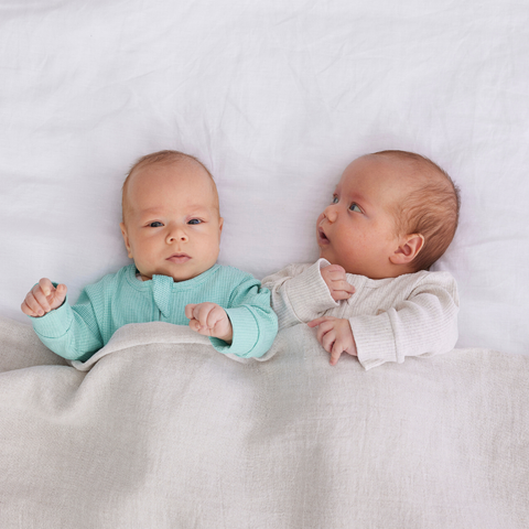 Twins: Supplement
