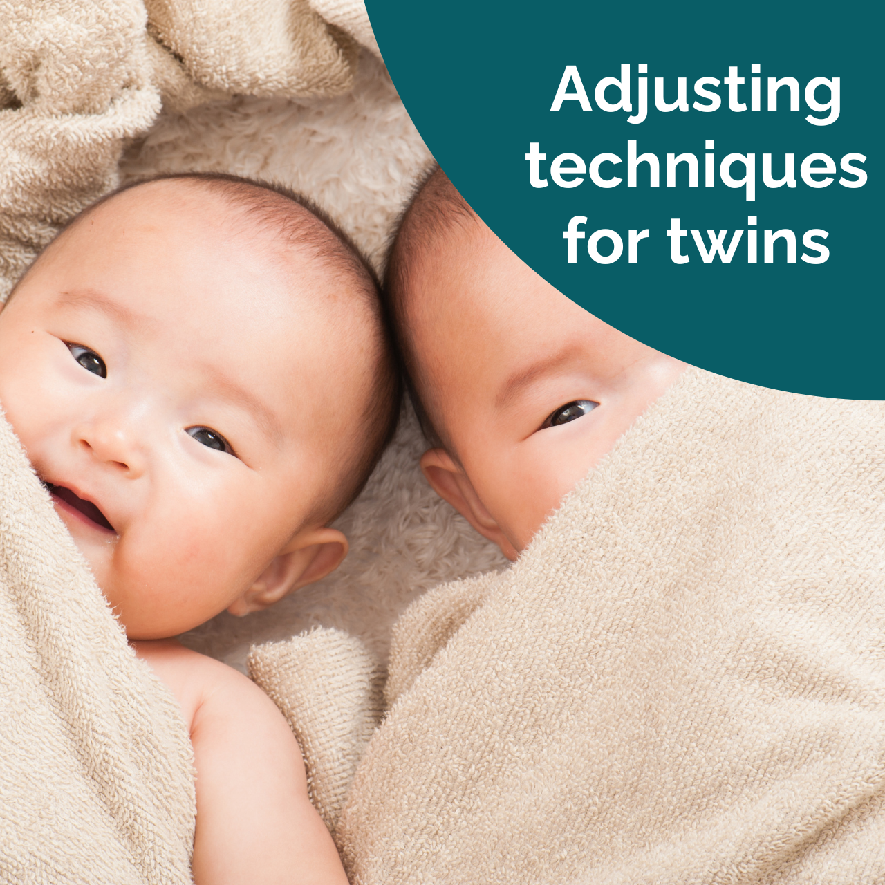 Twins: Supplement