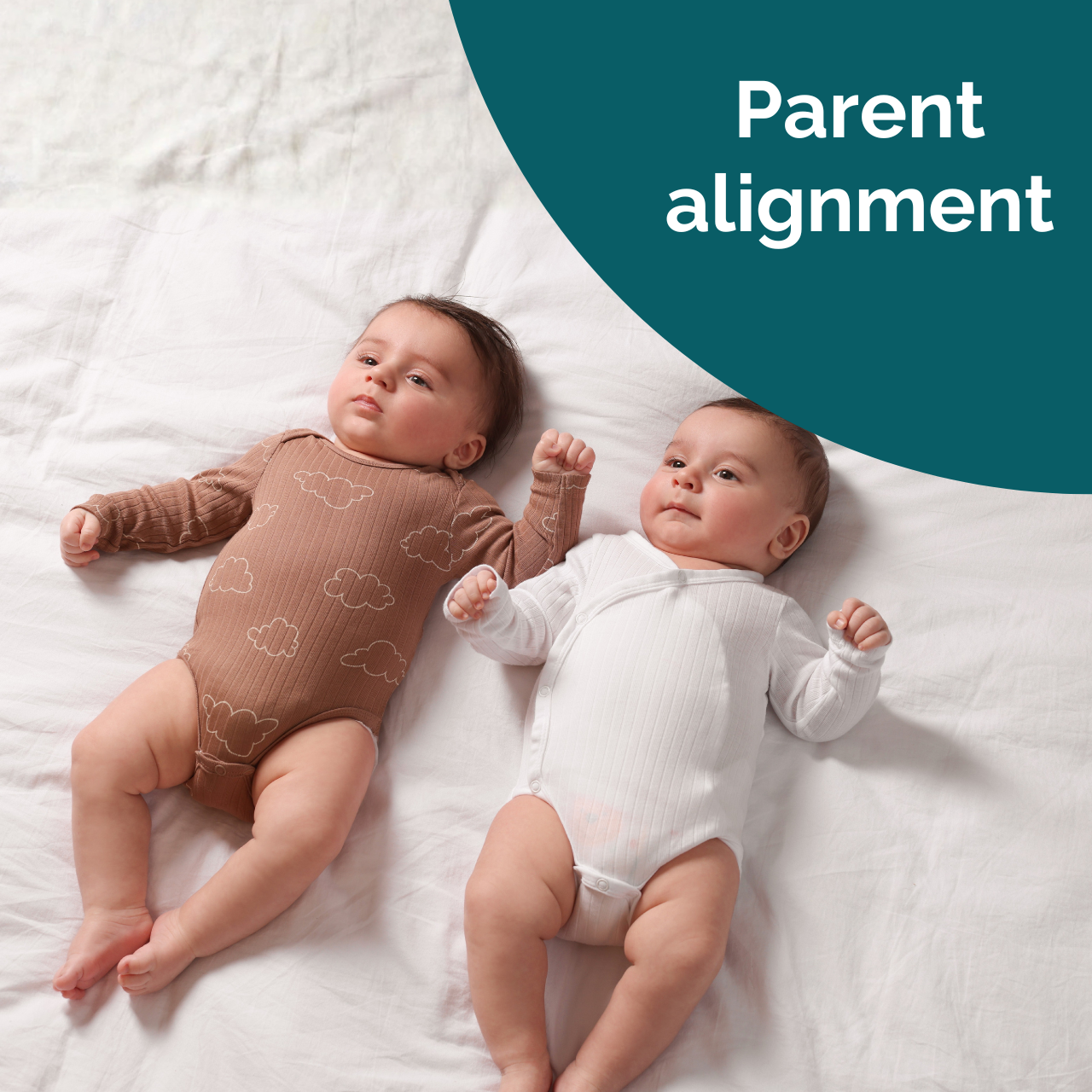 Twins: Supplement