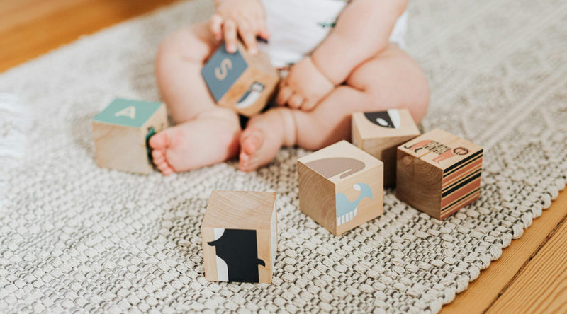 Baby Development Milestones in the First 12 Months