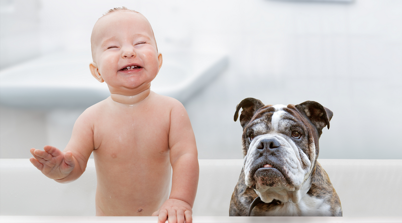 Dr Golly Sleep Program - Babies and Puppies