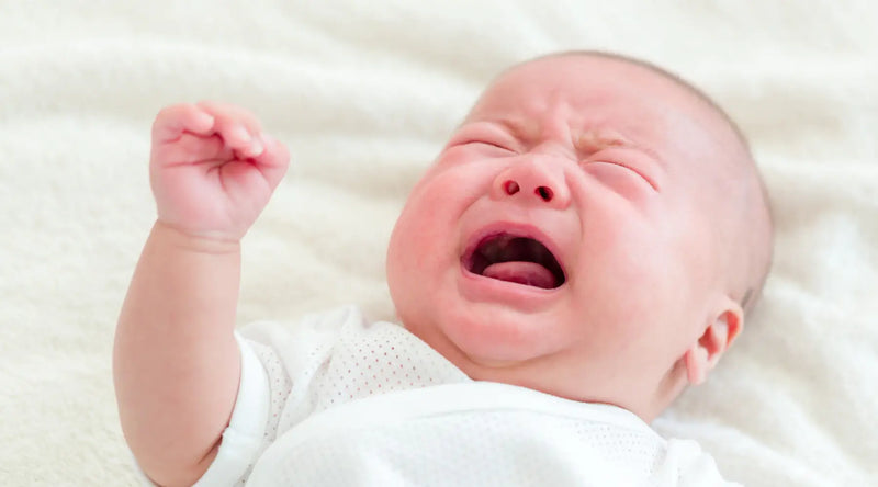 Dr Golly Sleep Program - Crying Baby Infantile Colic