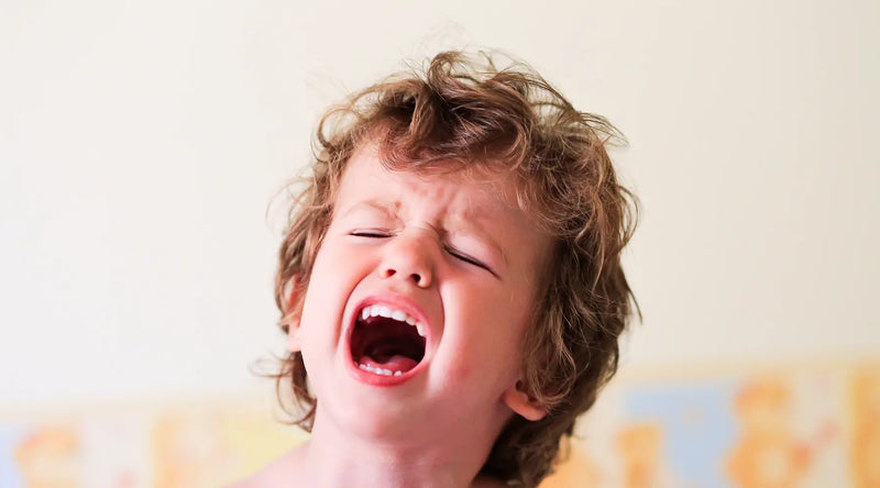 Toddler Autonomy|Amanda Abels