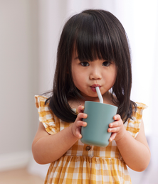 Toddler Toolkit
