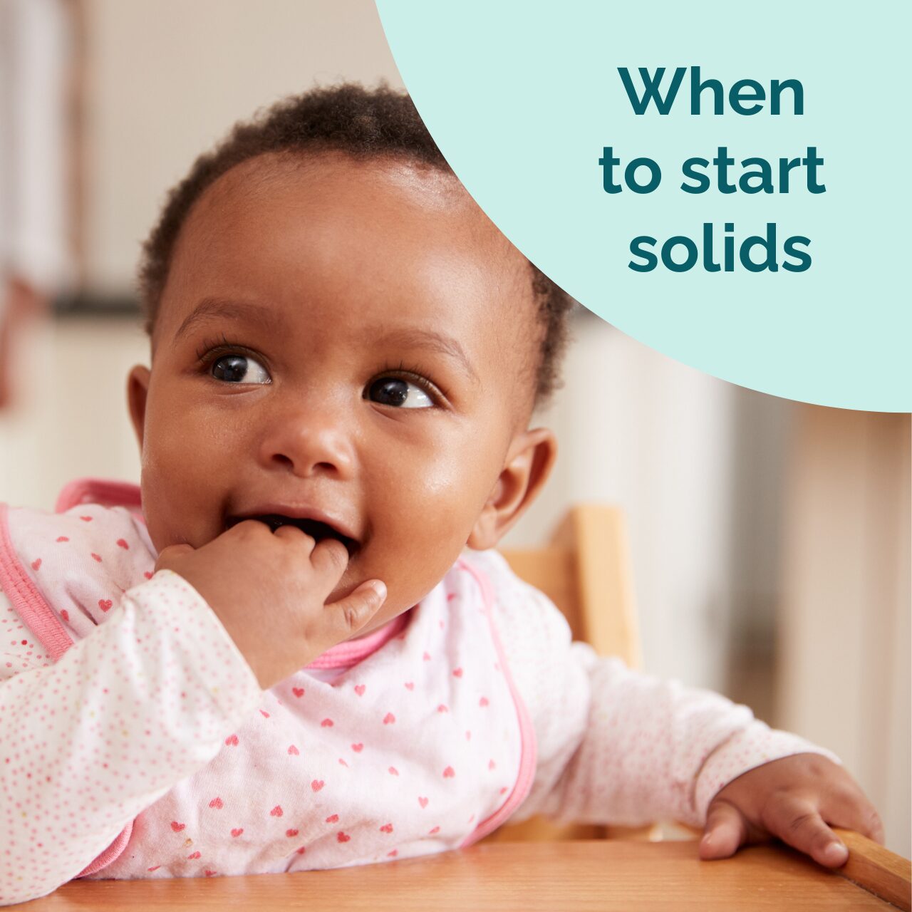 Starting solids: Mini Course