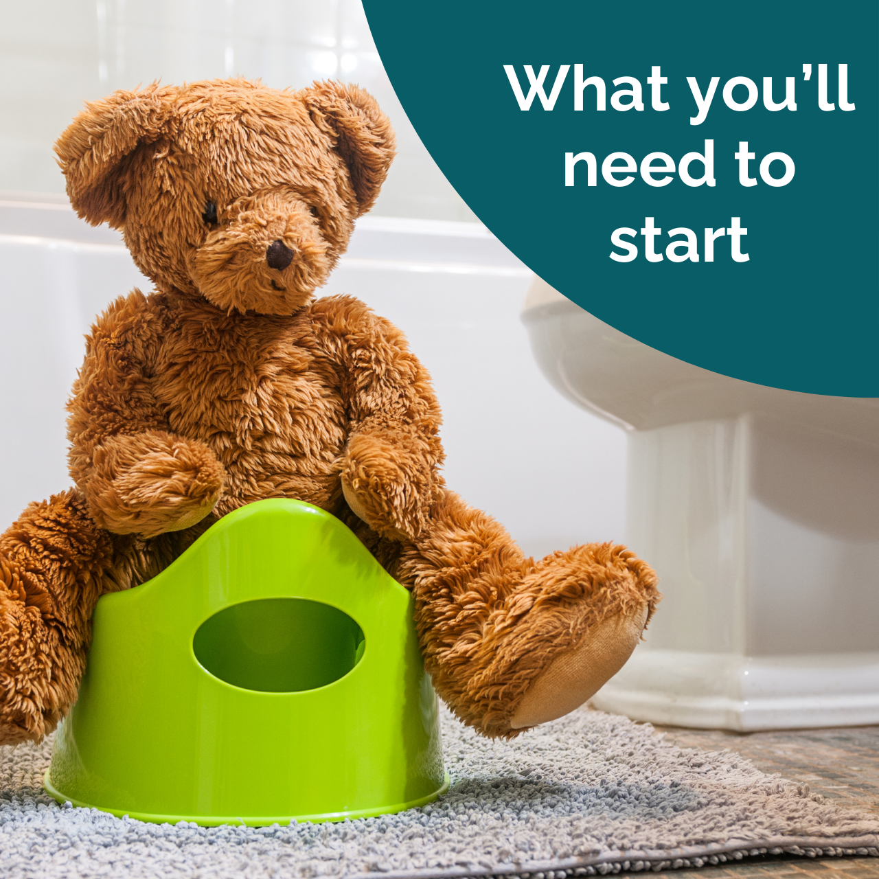 Potty Training: Mini Course