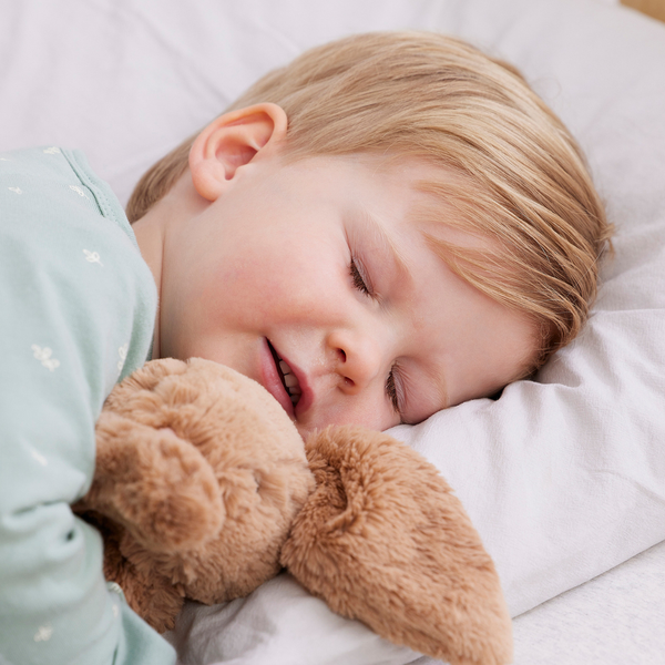 Pre-school sleep program