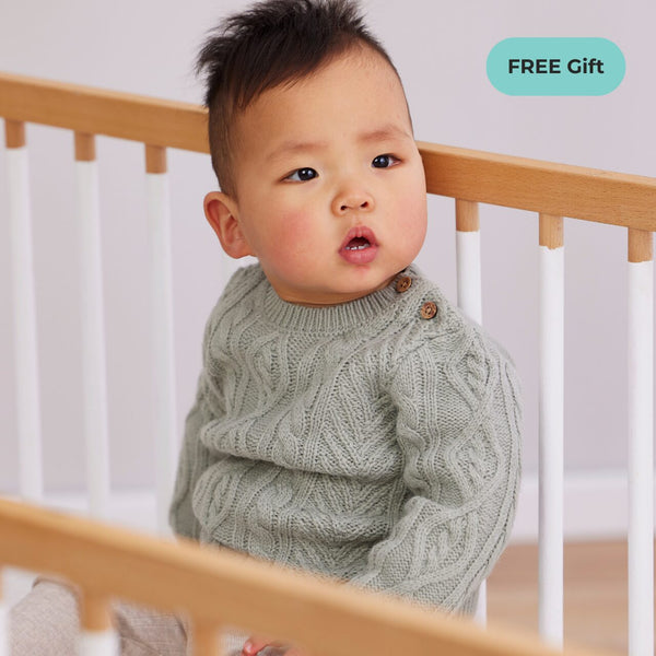 Toddler sleep program