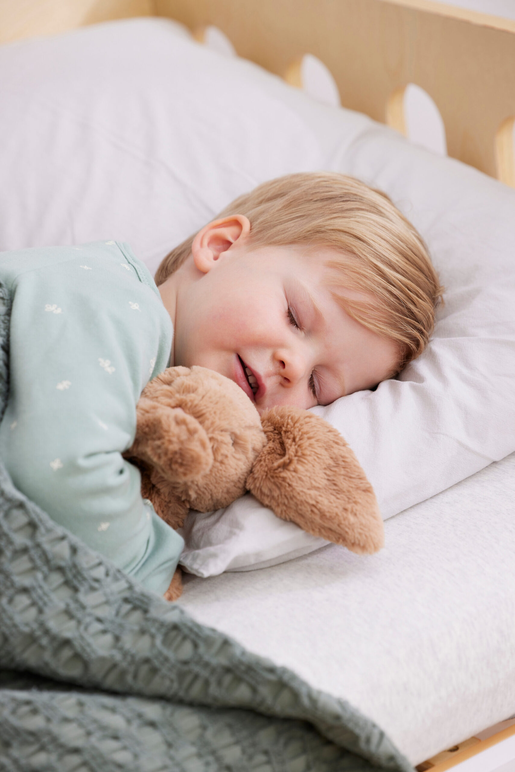 Pre-school sleep program