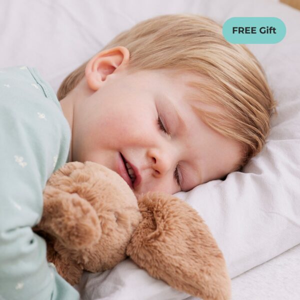 Pre-school sleep program