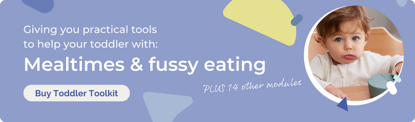 toddler toolkit course banner
