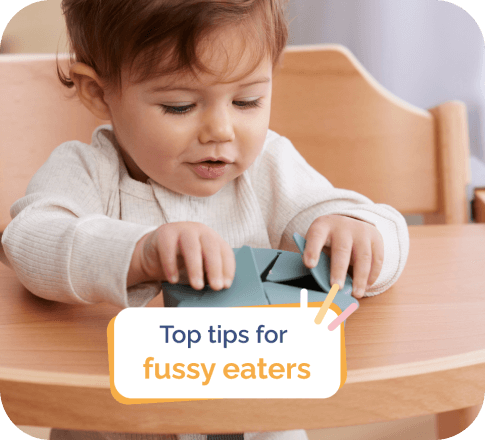tips fussy eater